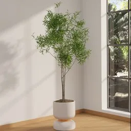 Slender Leaf Indoor Decorative Tree
