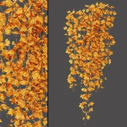 Trailing Foliage Plant