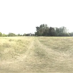 Grassy field outside a village