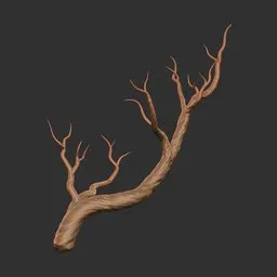 Branch Antler
