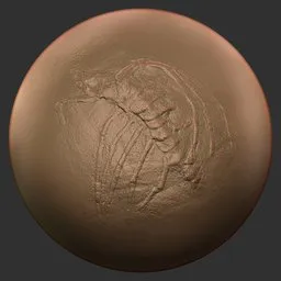 ER_Fossil Brush-Dinosaur Fossils