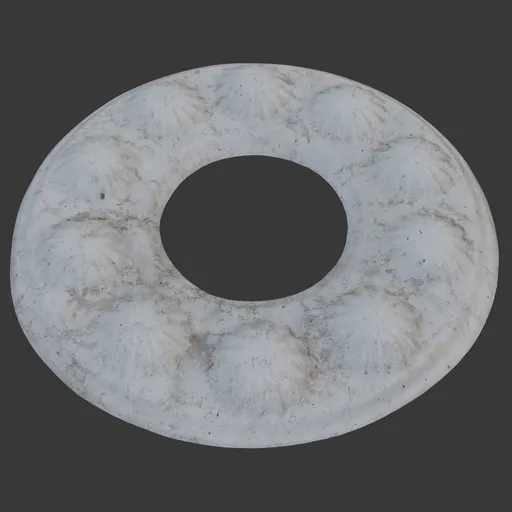 Nautical Shell Medallion
