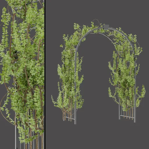 Ivy Decorative Entrance