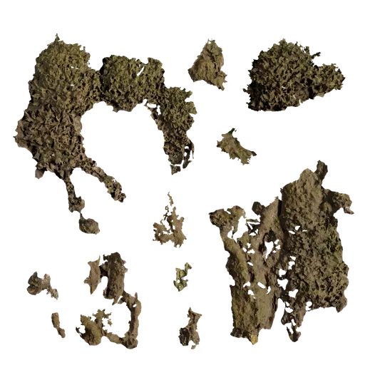 Moss
