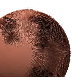 Mushroom Gills (Lamellae)