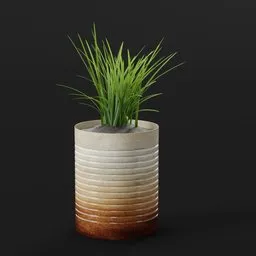 Grass Plant in Ceramic Pot