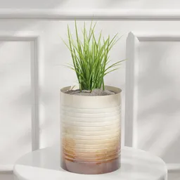 Grass Plant in Ceramic Pot