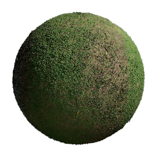 Grass Lawn