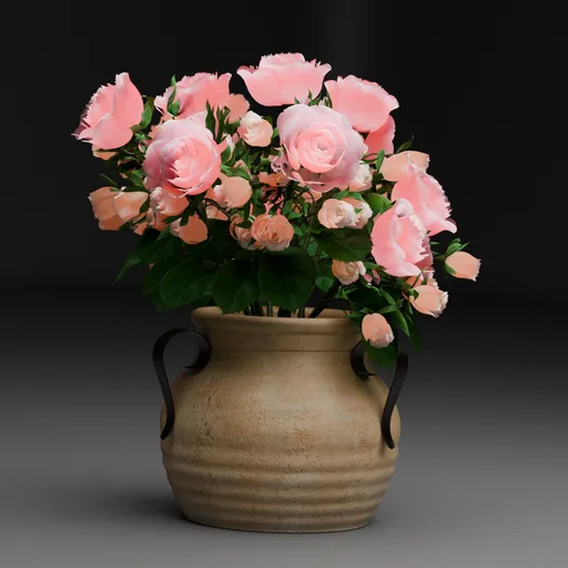 Rose flowers Pot