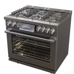 Bosch Stainless Steel Gas Range