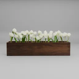 White Tulip Wooden Planter
