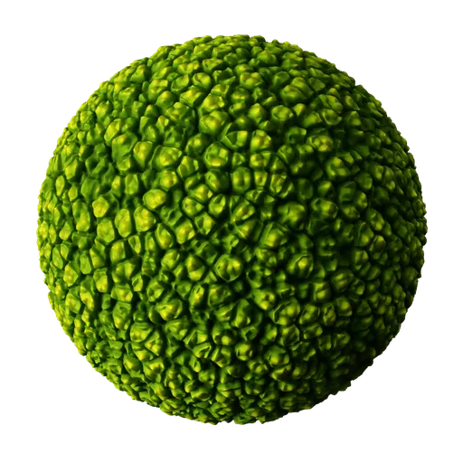 Plant Green Cells