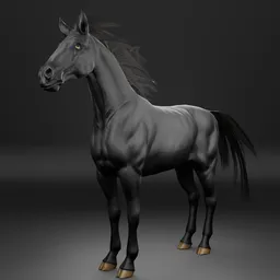 Black Horse - Rigged