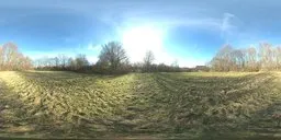 Panoramic serene rural field with green grass, leafless trees, clear blue sky, and a dirt path for scene lighting.