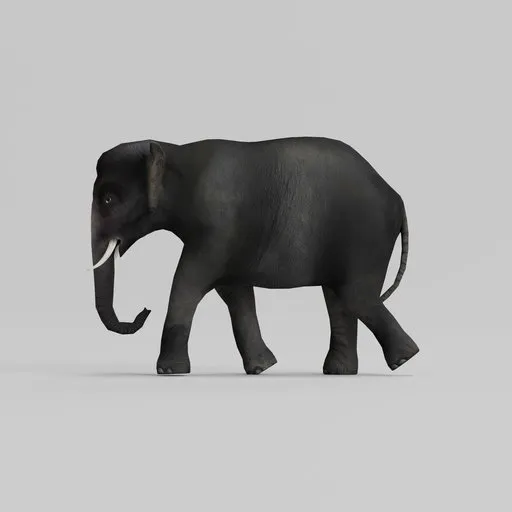 Elephant Rigged Animated