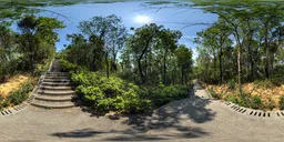 Stairs along the woods during the day