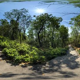 Stairs along the woods during the day