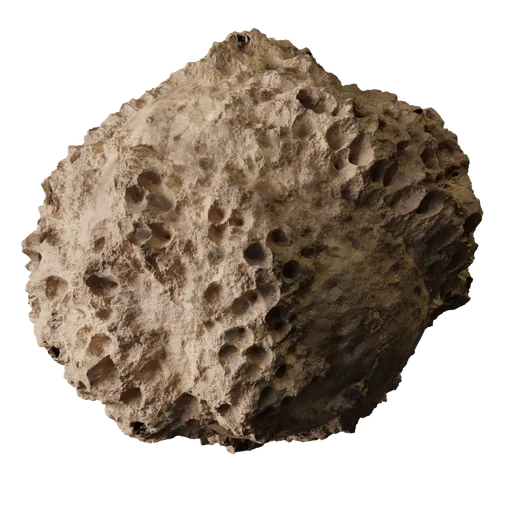 Highly detailed PBR coral texture for 3D material in Blender, perfect for natural environment scenes.