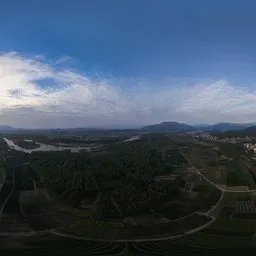 Green space trees HDR