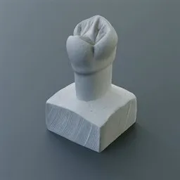 Tooth Sculpture Upper First Premolar
