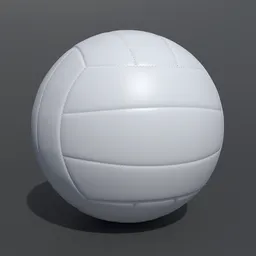 Volleyball Ball