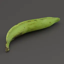 "High-quality 3D scan of a Green Banana with 8k textures, perfect for Blender 3D models. Realistic portrayal with Quixel Megascans and Imagenet textures. Ideal inventory item for fruit and vegetable category."
