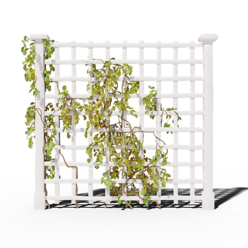 Thumbnail: Trellis v6