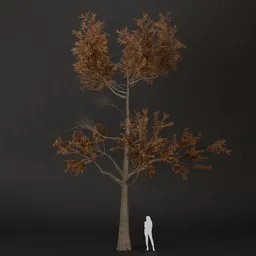 SJ-Crisp Twilight Pine Tree