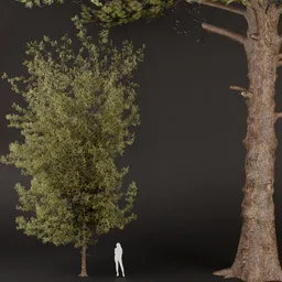 SJ-Frosted Pine Tree