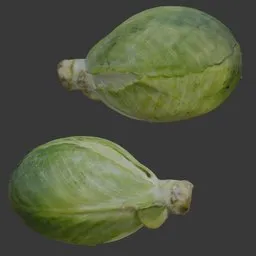 Cabbage Green