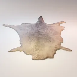 Kangaroo pelt hide with hair