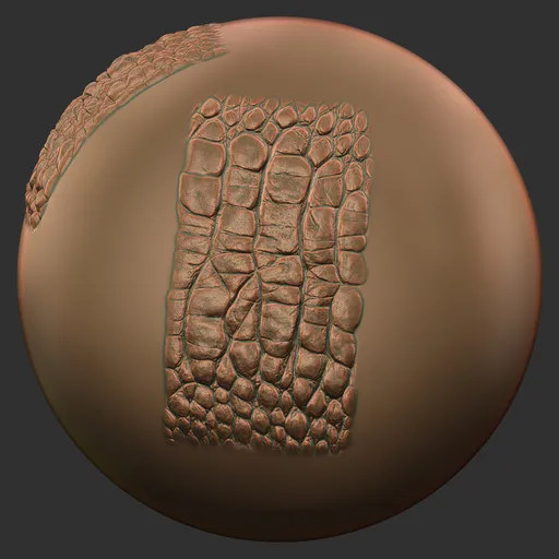 Cracked Crocodile Scales