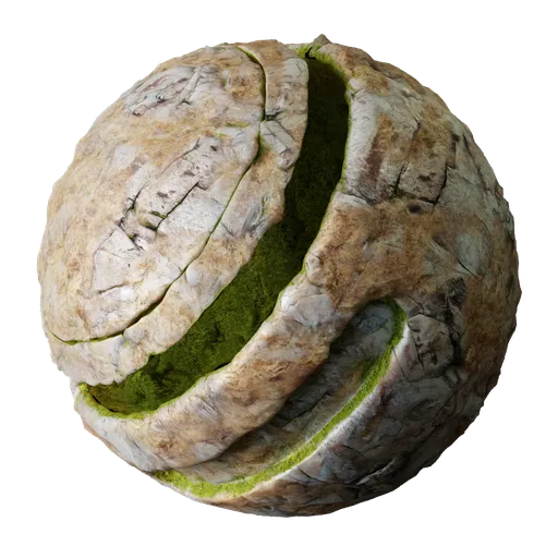 Weathered Rock Moss