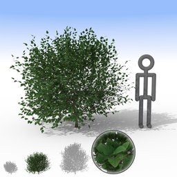 Mid Green Bush - Medium