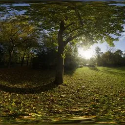 Sunny Vondelpark