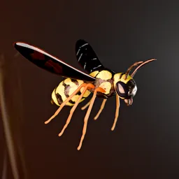 Wasp