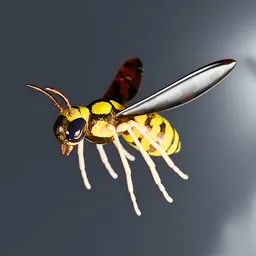 Wasp