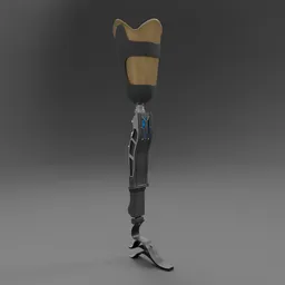 Prosthetic Leg
