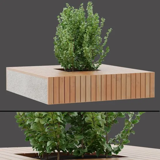 Concrete Wood Shrub Pot