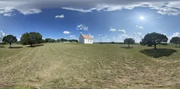 Sunshine Bluesky House Tree