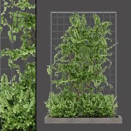 Green Wall Climber