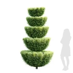 Bush Garden - Spiral Italian