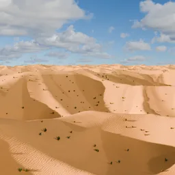 Desert Procedural