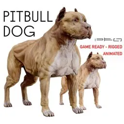 Pit-bull American Dog