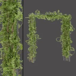 Ivy Vine Arch Structure