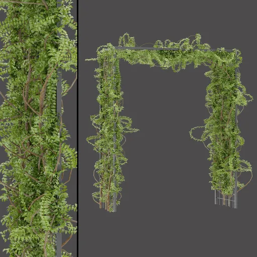 Ivy Vine Arch Structure