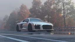 Car in the forest