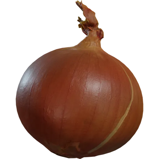 Yellow Onion