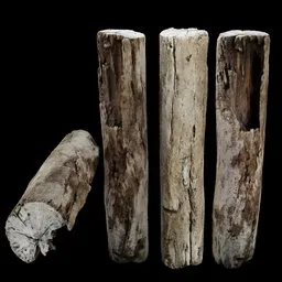 Hollowed Wooden Log