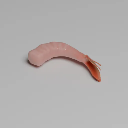 Shrimp sea food